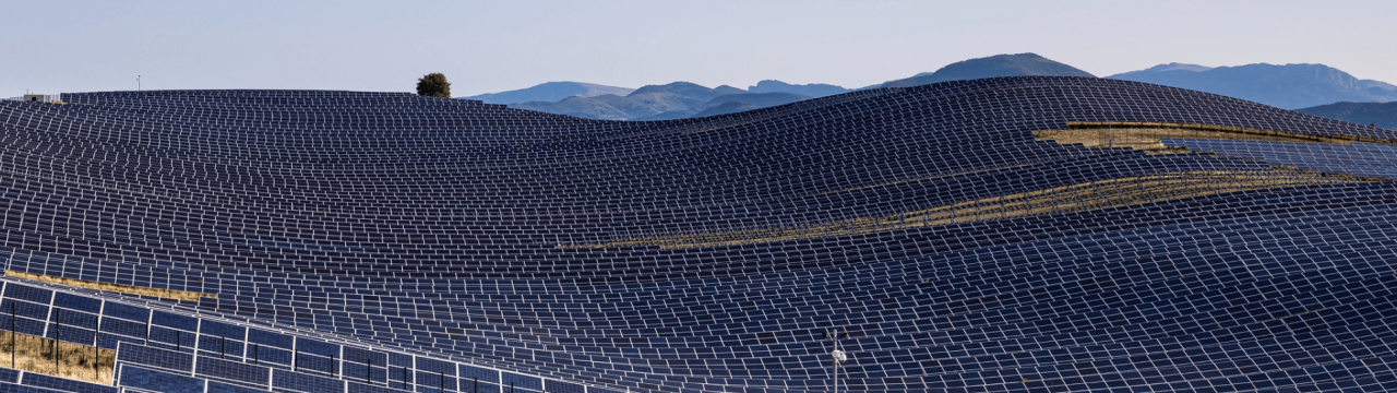 Dutch Government Allocates €312 Million Subsidy For SolarNL, Pushing ...